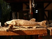 Gallerybild